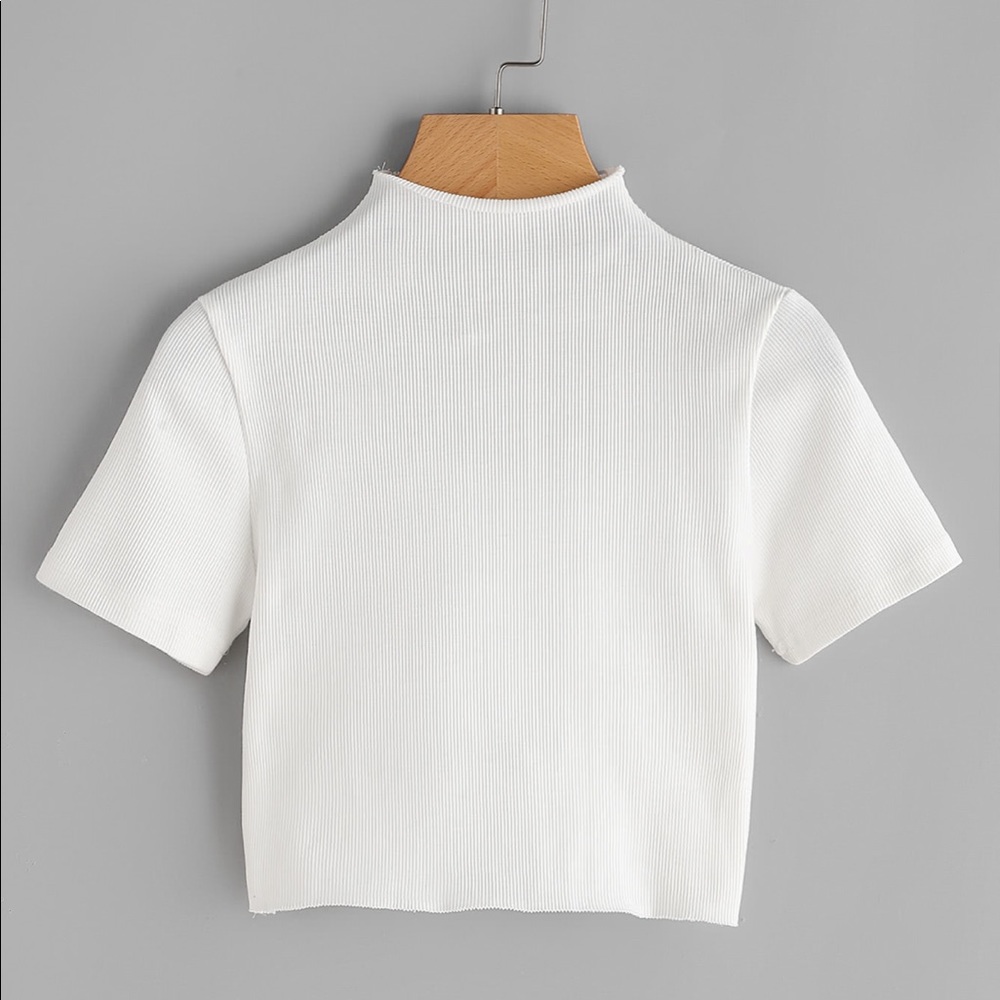 2 basic ribbed high neck crop tops, black/white